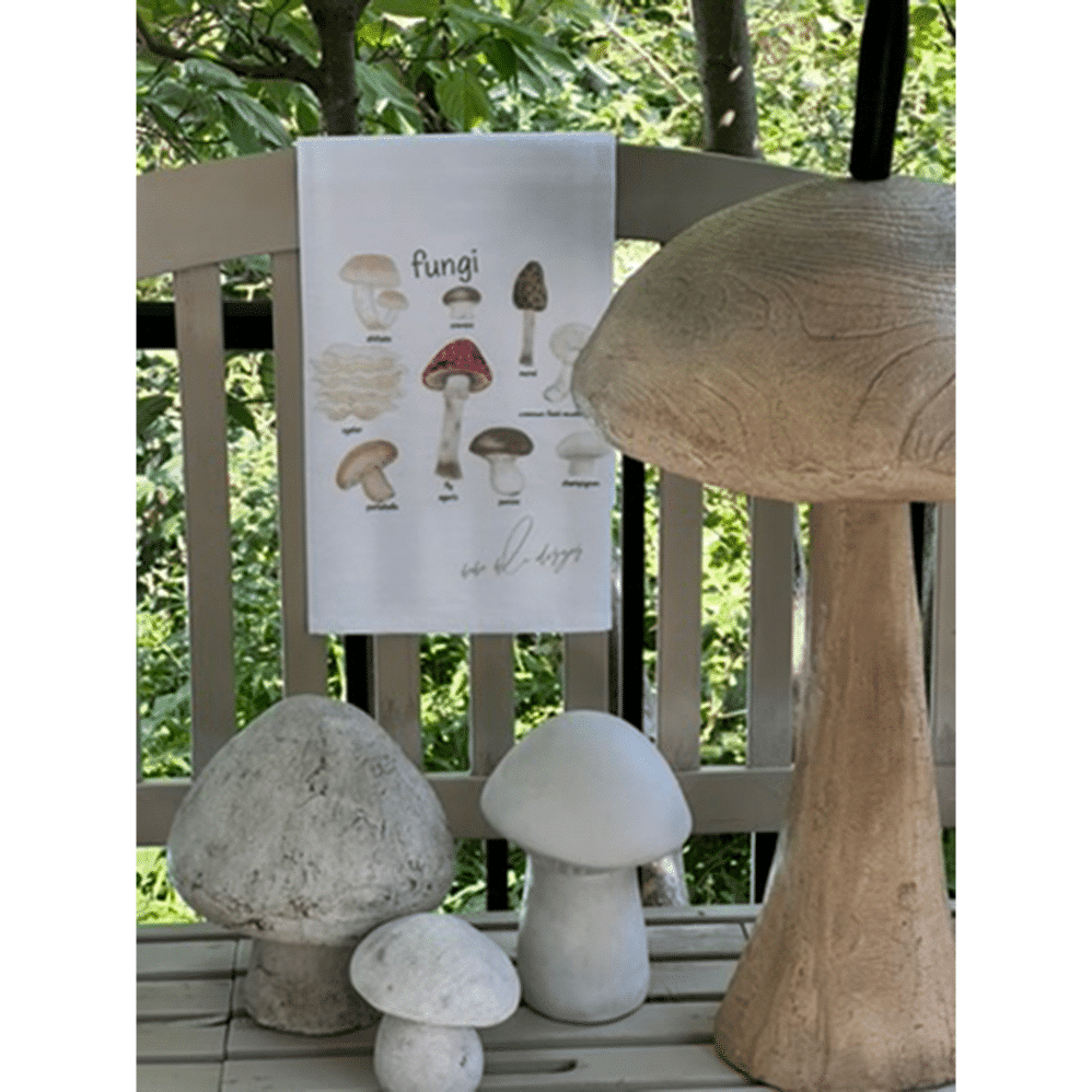 fungi staged